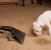 Firestone Odor Removal by Citrava Carpet Care