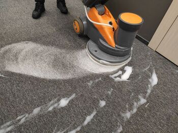 Carpet Shampooing in Wheat Ridge, Colorado by Citrava Carpet Care