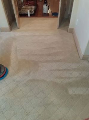 Before & After Carpet Cleaning in Boulder, CO (2)