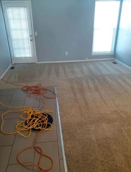 Carpet Cleaning in Loveland, CO (1)