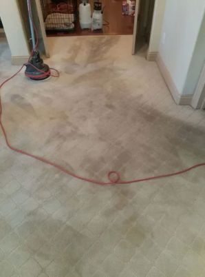 Before & After Carpet Cleaning in Boulder, CO (1)