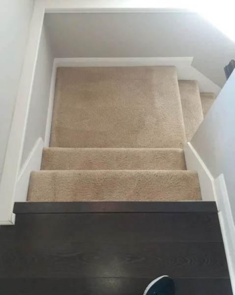 Odor Removal in Boulder, CO (1)