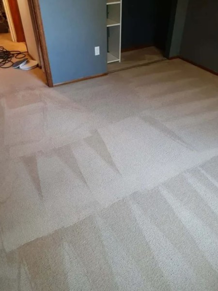 Carpet Cleaning in Thornton, CO (1)